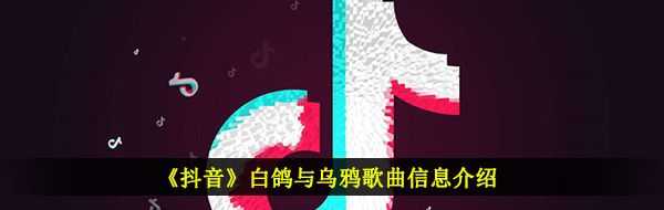 《抖音》白鸽与乌鸦歌曲信息介绍